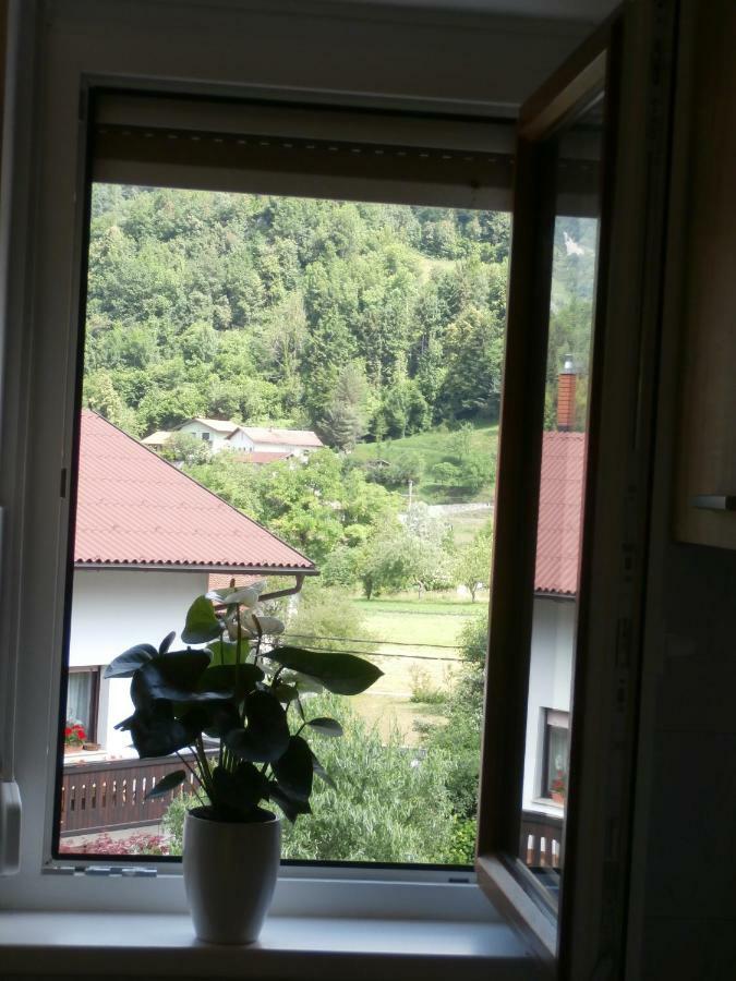 Apartma Ana Dreznica Kobarid Kültér fotó